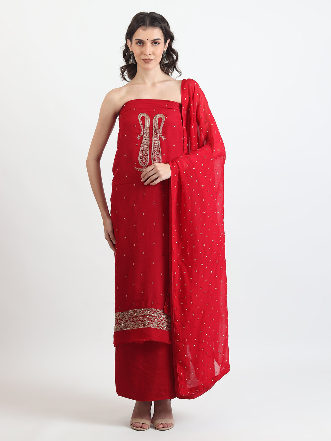 Organza Salwar and Suit 2025