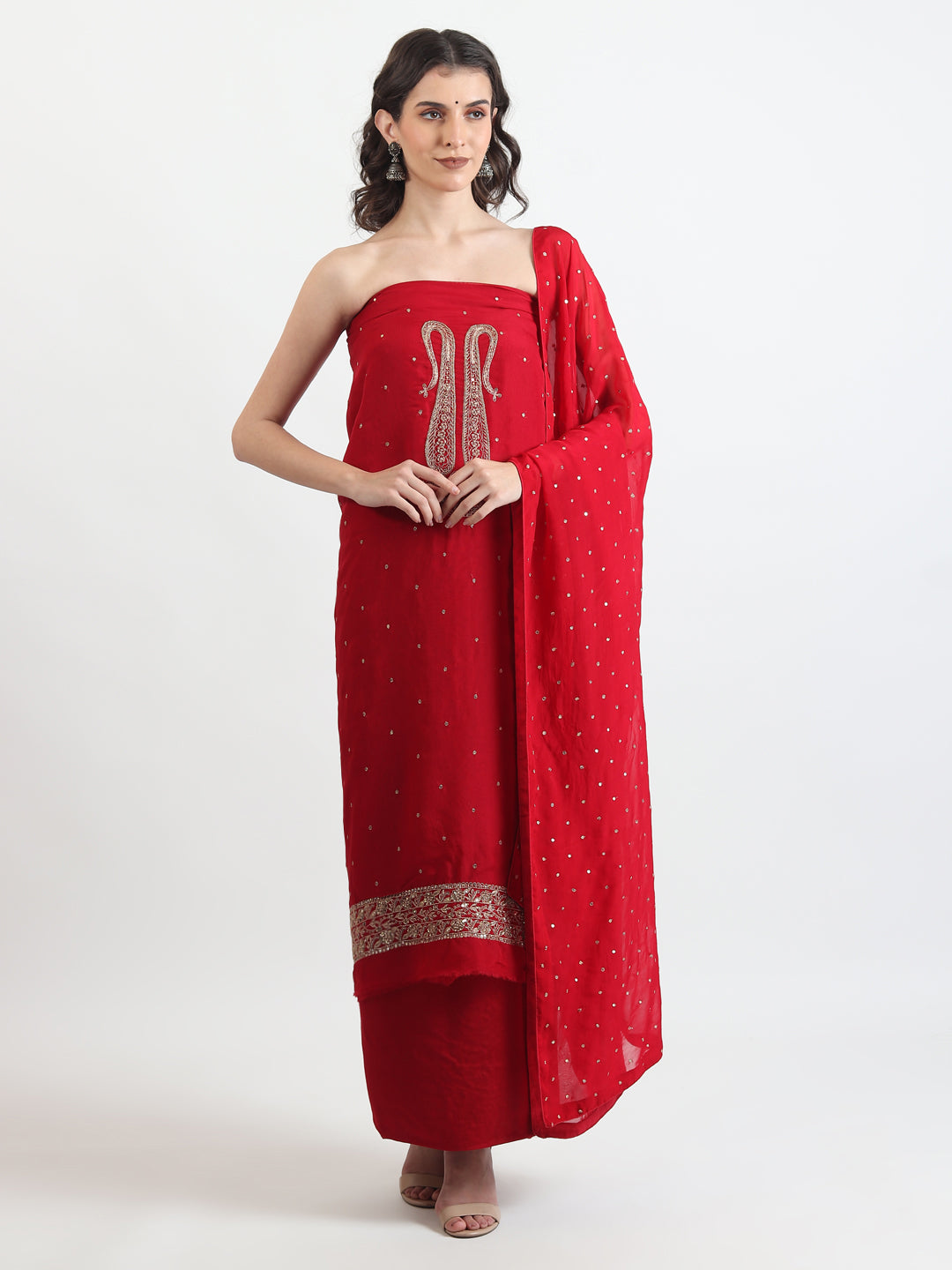 Organza Salwar and Suit 2025