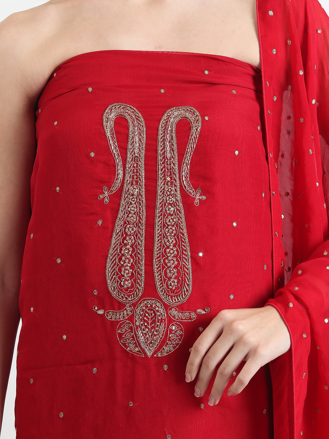 Organza Salwar and Suit 2025