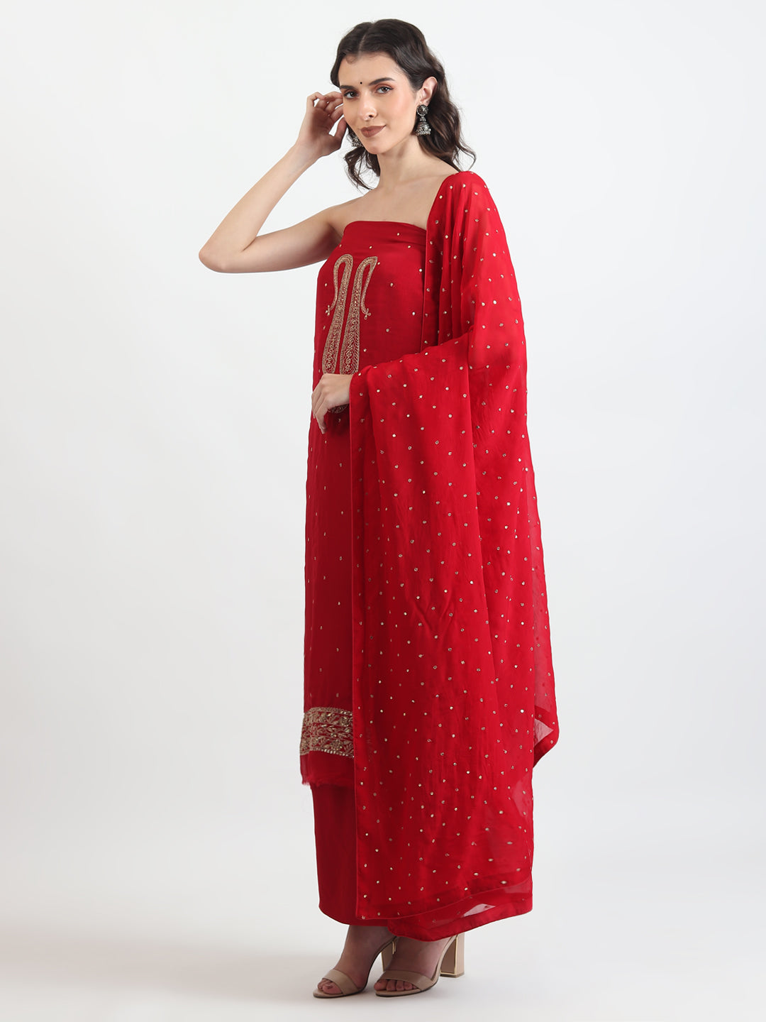 Organza Salwar and Suit 2025