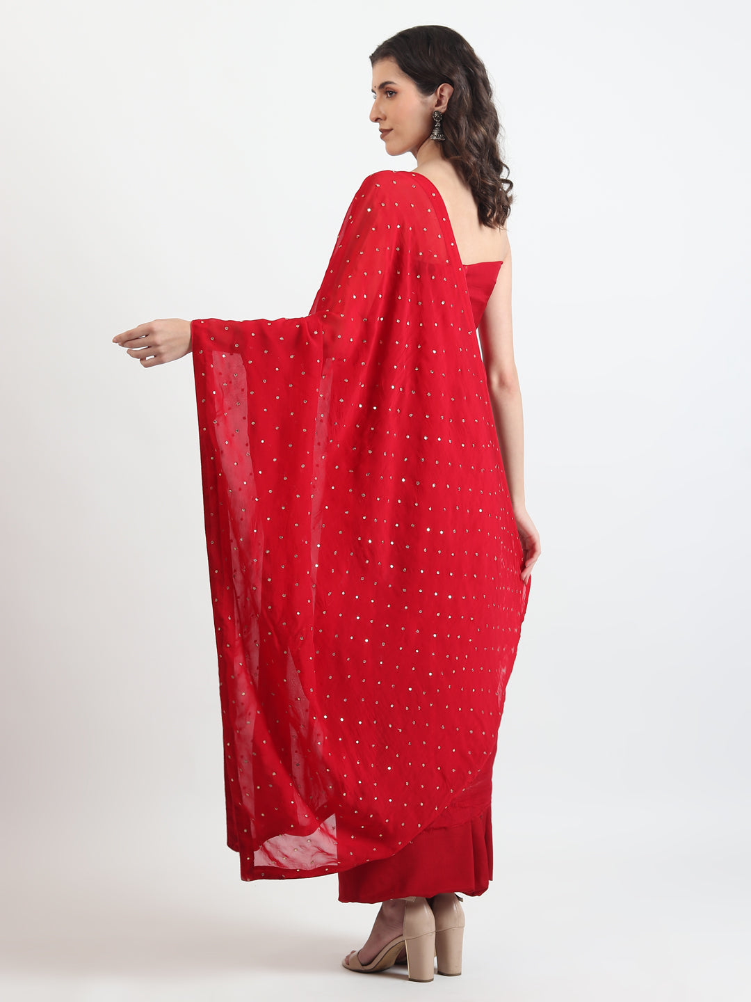 Organza Salwar and Suit 2025