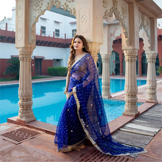 Pure Organza Saree