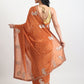 Party Wear Chiffon Saree