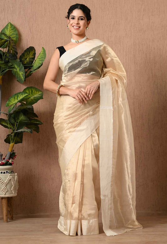 Tissue Saree With Satin Border