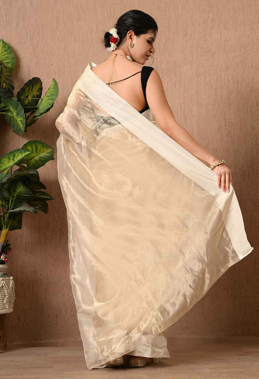 Tissue Saree With Satin Border