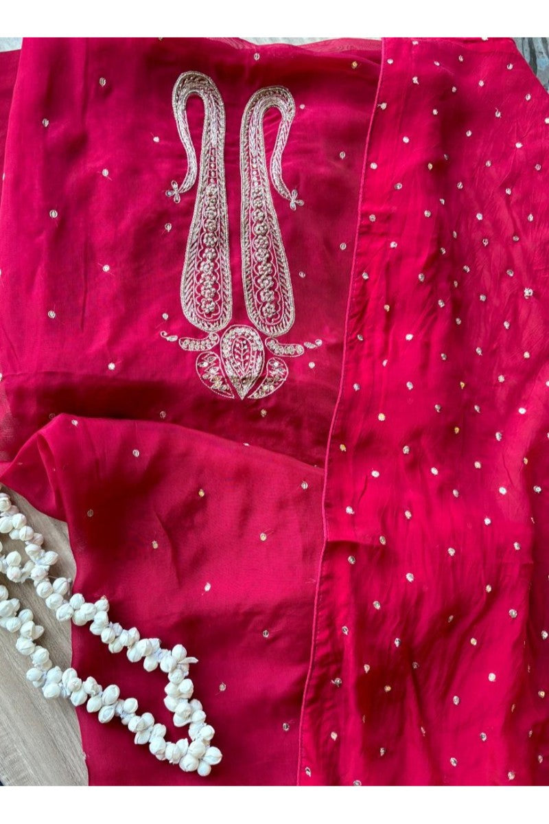 Organza Salwar and Suit 2025