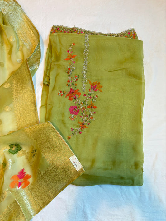 Organza Salwar and Suit 2025