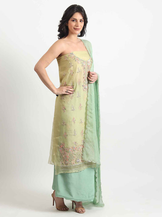 Pure Organza Salwar and Suit 2025