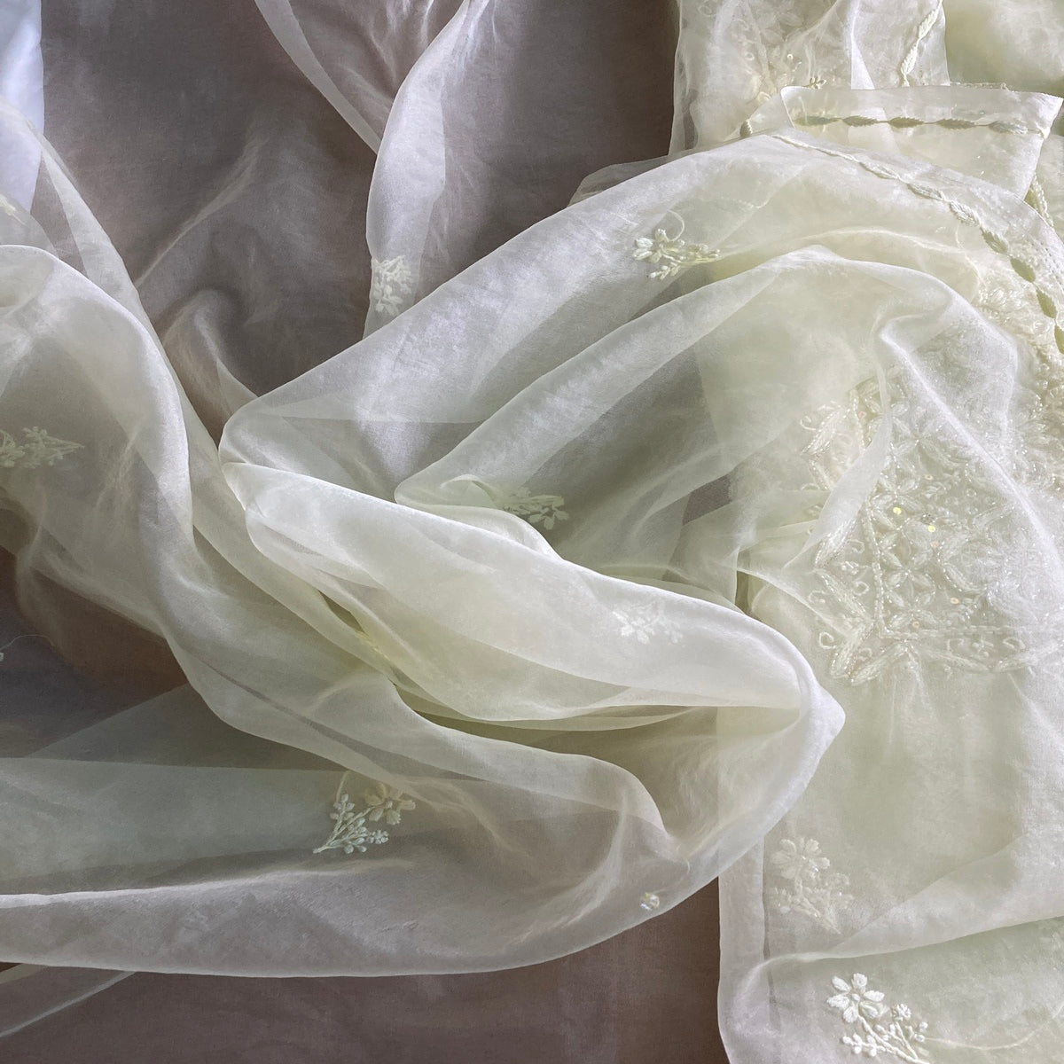 Pure Organza Suit