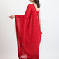 Organza Salwar and Suit 2025