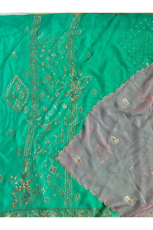 Pure Organza Salwar and Suit 2025